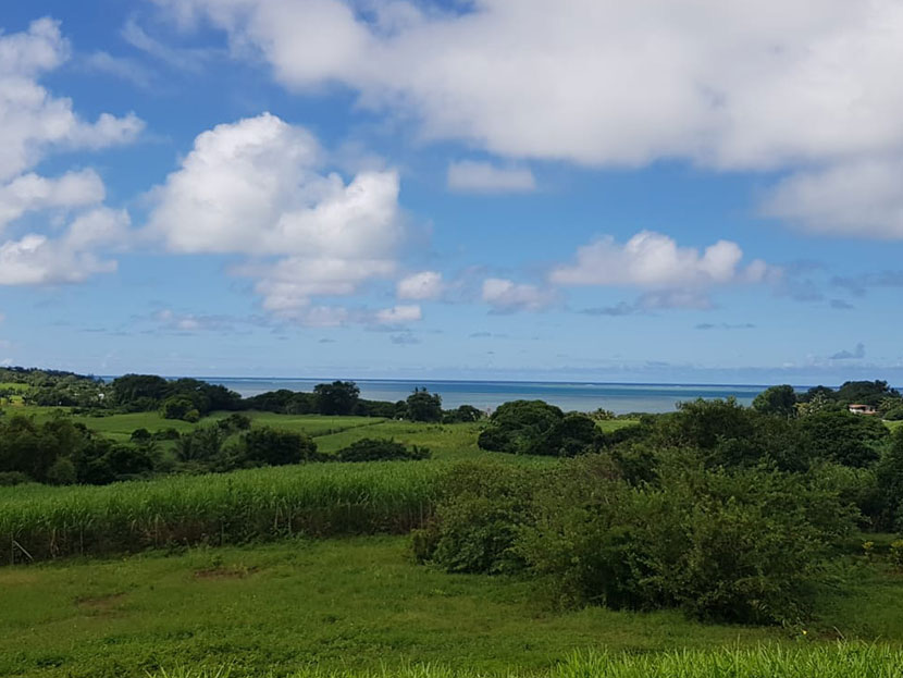 Agricultural Land 21949 m2