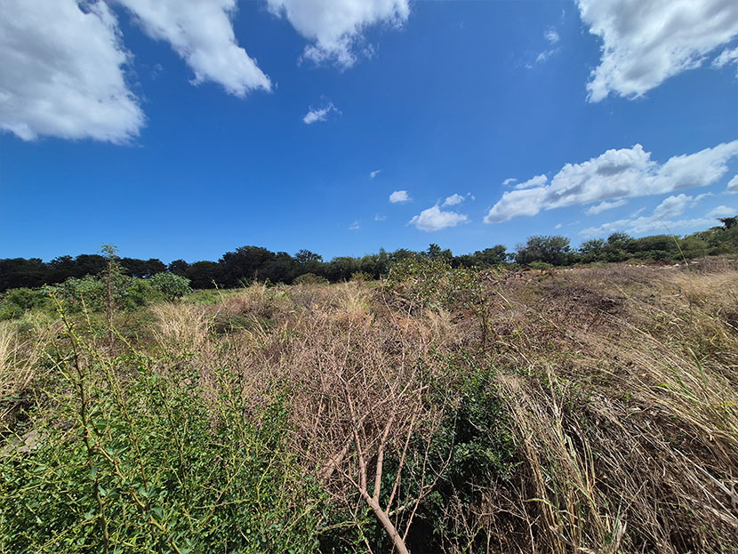 Agricultural Land 4221 m2 Gros Cailloux West