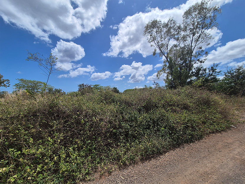 Agricultural Land 4221 m2 Gros Cailloux West