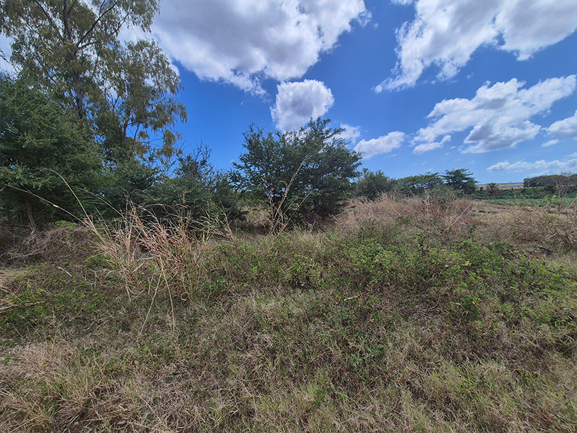 Agricultural Land 4221 m2 Gros Cailloux West