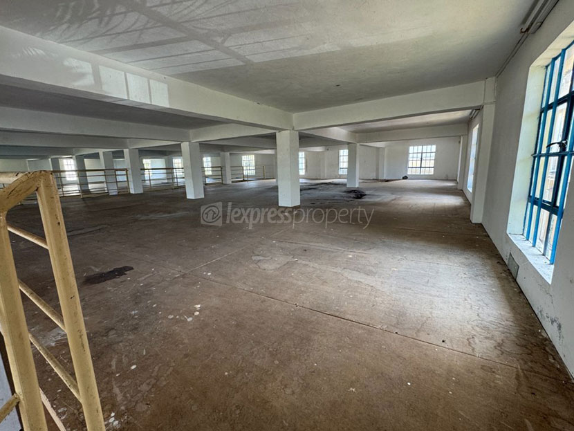 Warehouse 1415 m2 Goodlands North