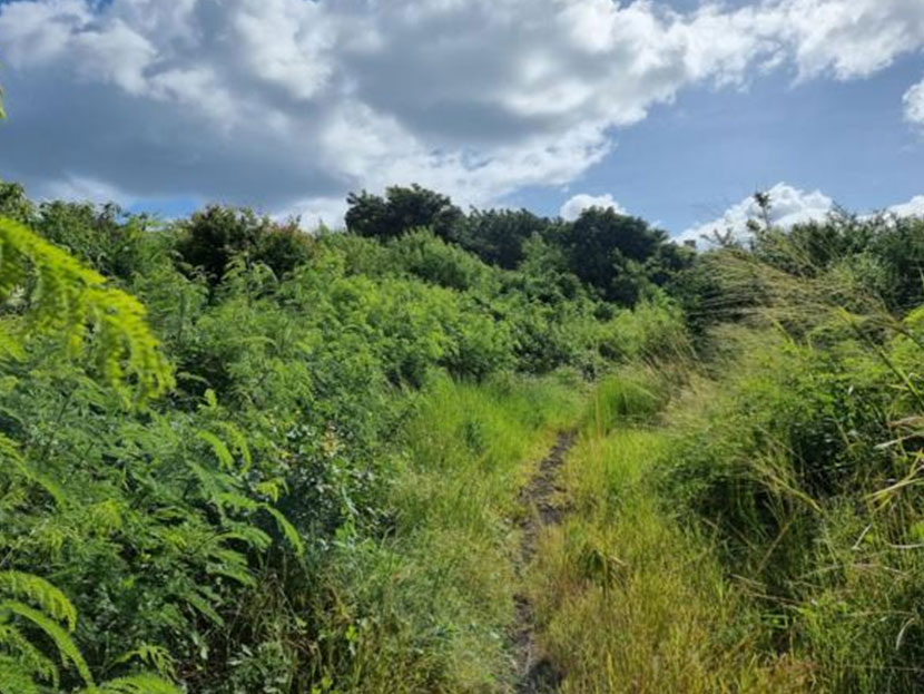 Commercial Land 2056 m2